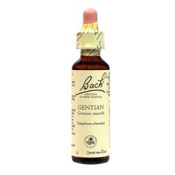 Fleurs Bach Gentian Gtt Fl20Ml