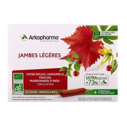 Arkofluide Jambe Leg B A10Ml20