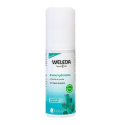 Weleda Brum Hyd Fig Fl100Ml1