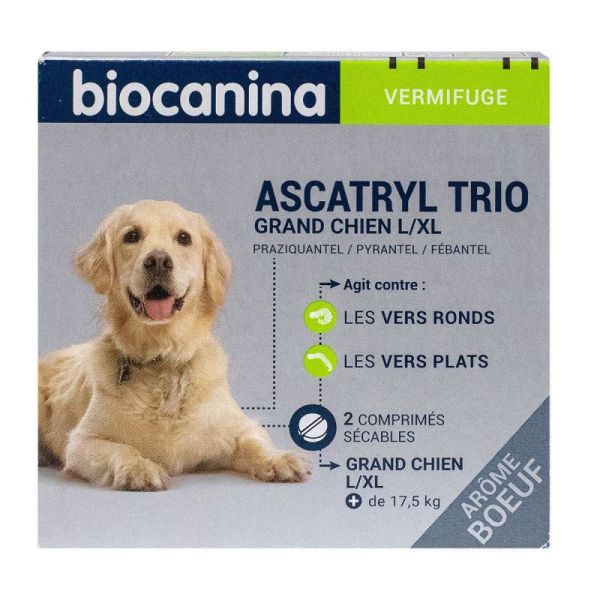 Ascatryl Trio G.cn L/Xl Cpr 2