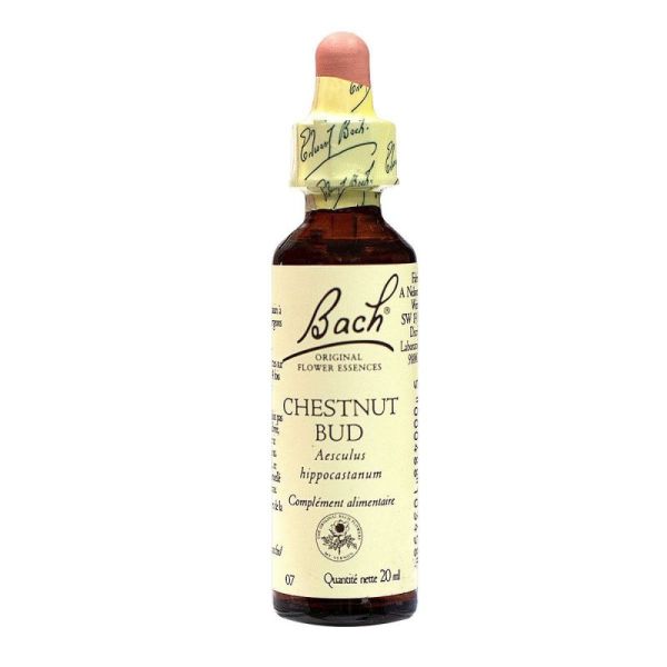 Fleurs Bach Chesnut Bud Gtt 20Ml